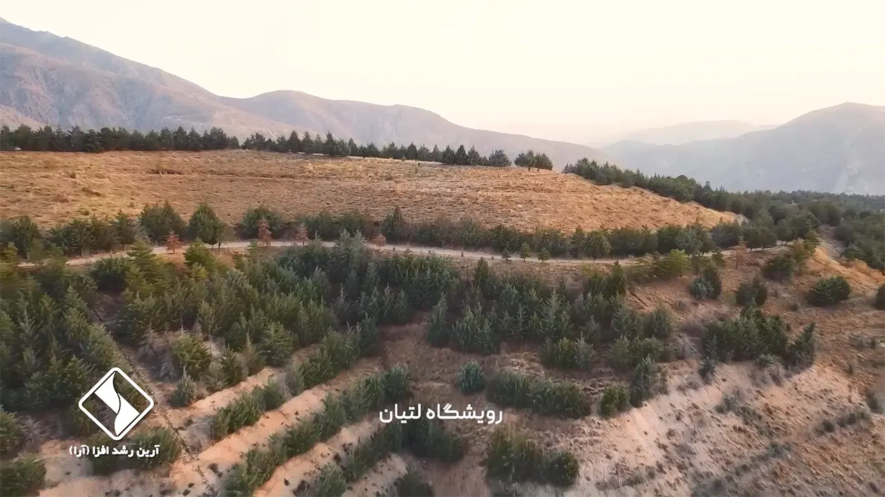 ایجاد بوستان در منابع طبیعی لتیان